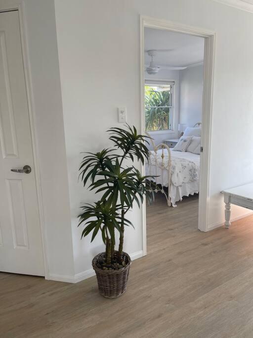 Studio Seaside Self-Contained Apartment Marcoola Exteriör bild